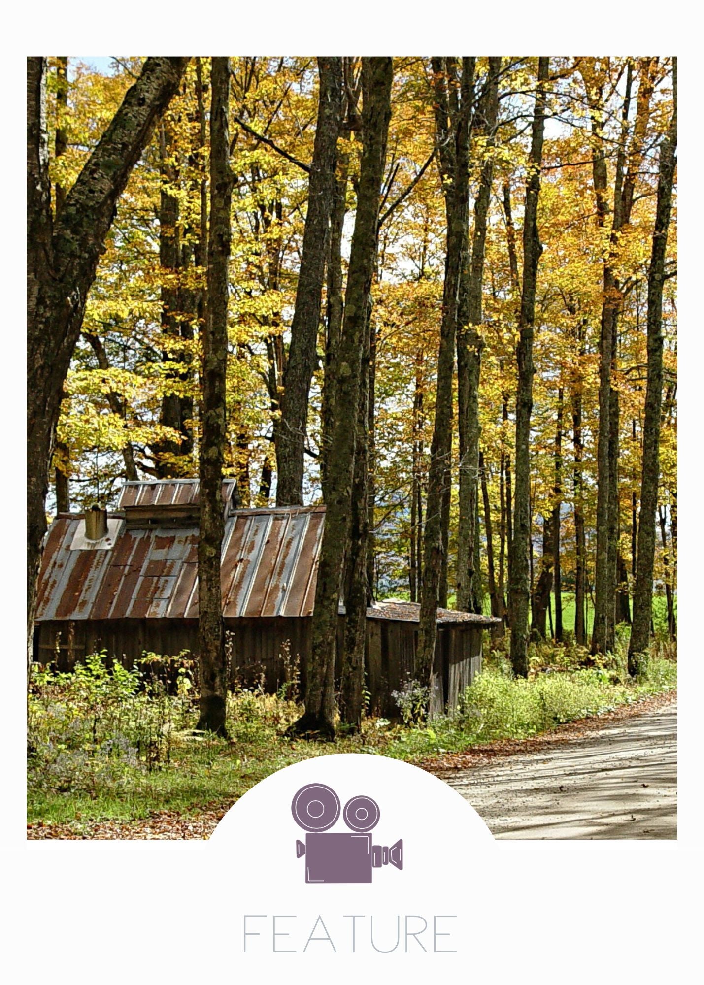 A sugar house in a forest of trees on a dirt road. A reference photo for the screenplay The 603 written by Emily Prescott